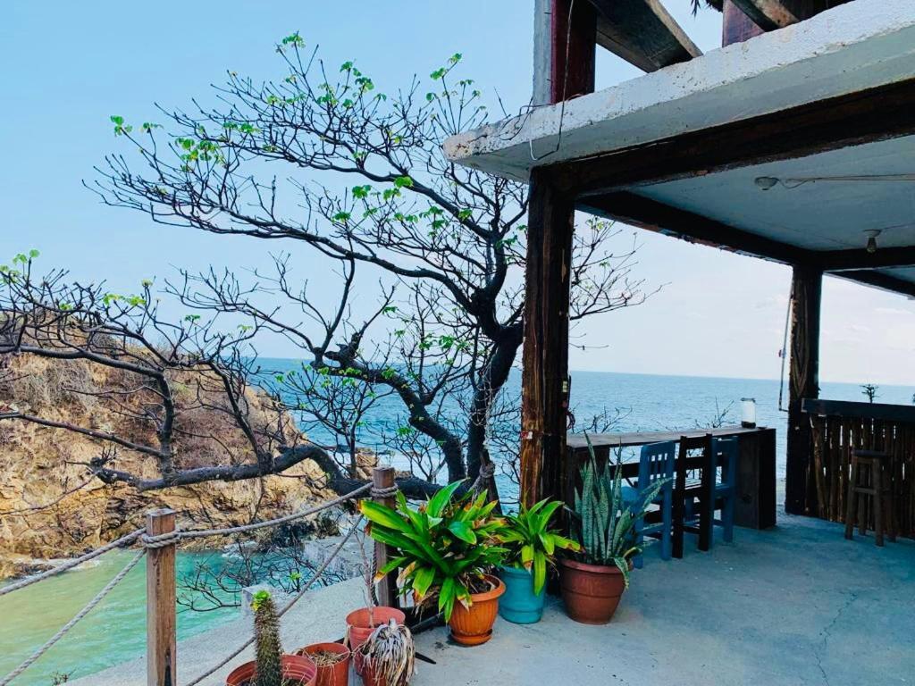 Playa Amor - Private Villa & Best Views Zipolite Esterno foto